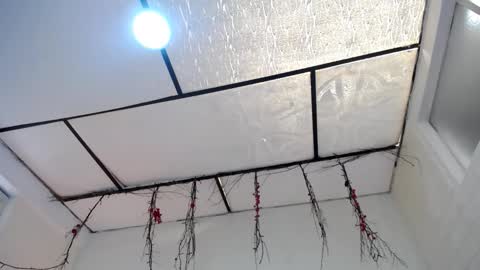 LAURA online show from 03.23.26