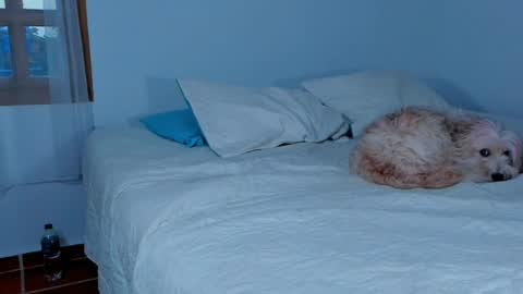 Lucie  online show from 02.15.25