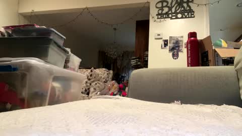 Snapshot of lawrencegreg106 chatting on 09.25.25 lawrencegreg106 online show from 09.25.25