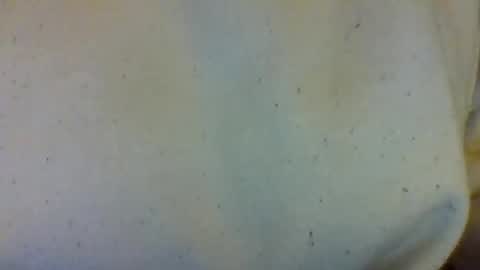 layannalea online show from 02.13.26