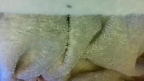 layannalea online show from 04.09.26