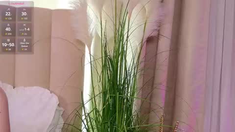 Your sweet girl-next-door online show from 01.31.26