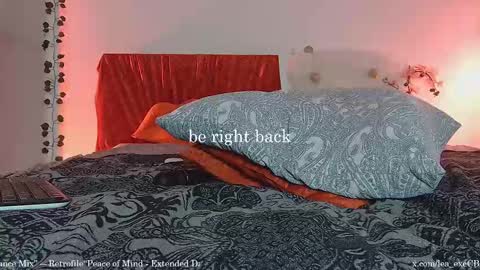 Snapshot of lea_exe chatting on 02.13.25 lea_exe online show from 02.13.25