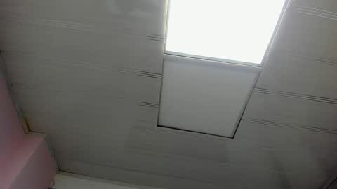 leamoreau__ online show from 11.08.25