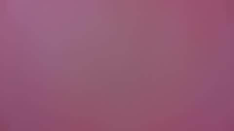 Michel online show from 01.17.25