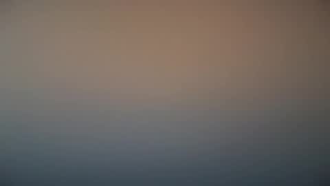 Michel online show from 03.07.25