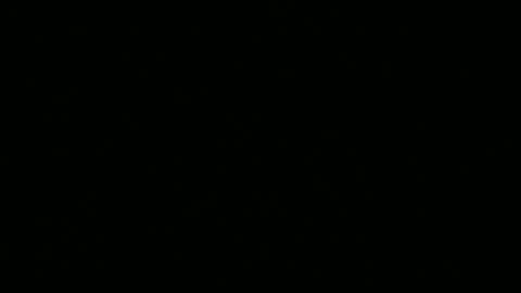 Ebony DeafGuy online show from 06.13.26