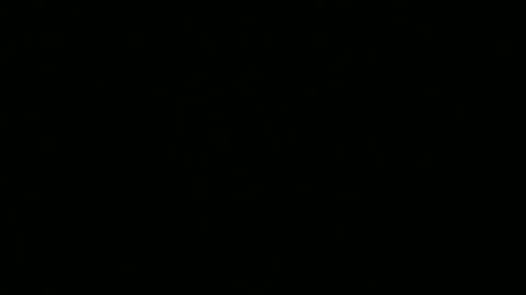 Ebony DeafGuy online show from 07.02.26