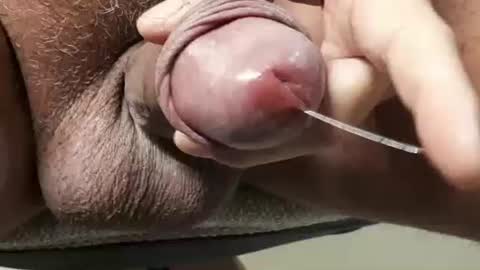 legofactory online show from 11.27.25