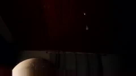 lelshop online show from 02.25.26