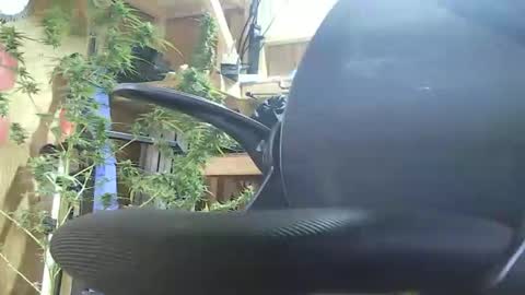 Snapshot of lenghtygirth chatting on 09.09.25 HoleStretcher online show from 09.09.25