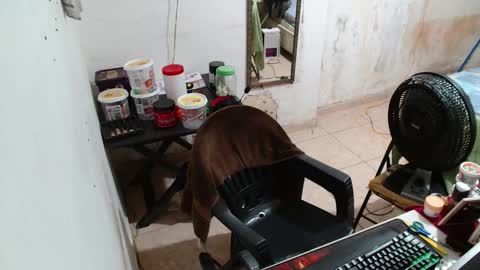 leonino231 online show from 12.15.25