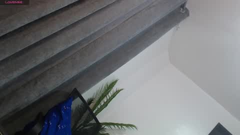 Snapshot of lesi_trisha chatting on 01.27.25 Trisha18 online show from 01.27.25