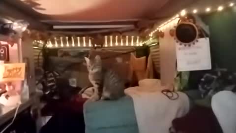 Snapshot of lesleygumgrass chatting on 12.18.25 LesleyGumGrass- The Boring Trans girl online show from 12.18.25