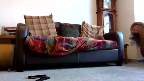 Snapshot of letmestrip chatting on 02.09.26 paul online show from 02.09.26