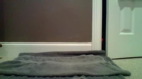 Snapshot of lets_orgasm_ chatting on 01.27.25 Lets Orgasm online show from 01.27.25