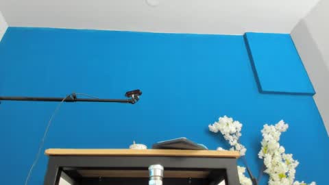Snapshot of letty_straus chatting on 05.22.26 Maria Jose online show from 05.22.26