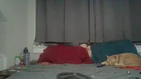 lexijackman online show from 12.01.25