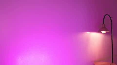 liaa online show from 12.03.25