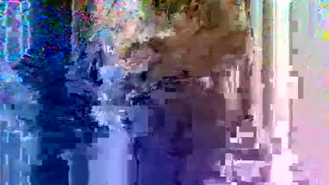 Light Mage online show from 02.18.26