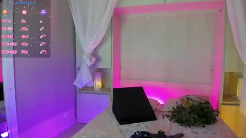         online show from 02.02.26