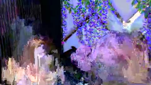 Brittany online show from 12.03.25