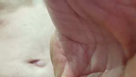 Snapshot of like_fun_ chatting on 04.08.26 like_fun_ online show from 04.08.26