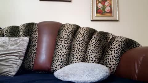 Snapshot of likechoco chatting on 12.19.24 Celine online show from 12.19.24