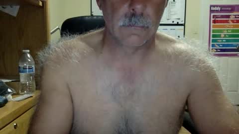 likefhot online show from 03.04.26