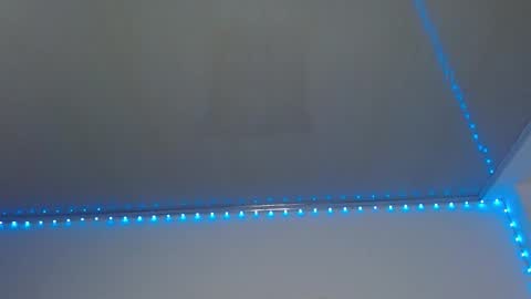 Lisaa online show from 01.09.25