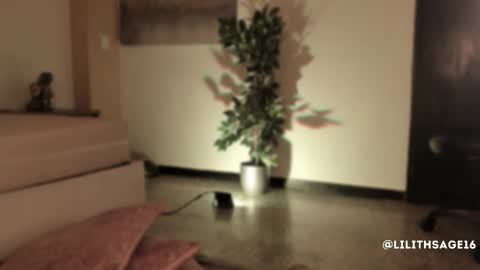 lilith_sage_ online show from 11.13.25