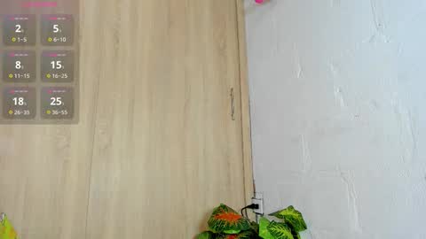   online show from 11.05.25