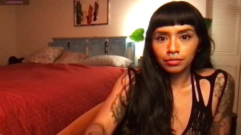 Little Lily online show from 11.05.25