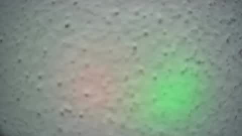 lily lovelyman online show from 02.13.25