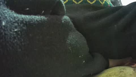 lily lovelyman online show from 02.23.25