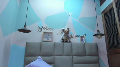 Snapshot of lilybaudyn_ chatting on 02.25.25 Lily online show from 02.25.25