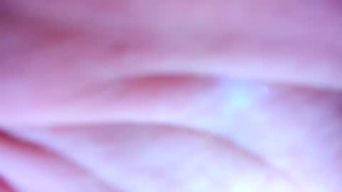    online show from 02.19.25