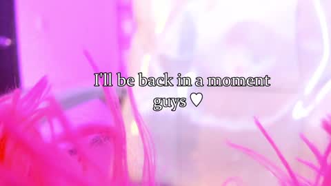 linda miller online show from 01.24.25