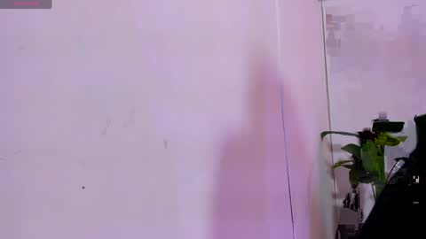 Snapshot of lindsay_tay chatting on 04.11.26 Linda online show from 04.11.26