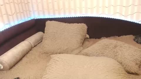 LIpsAddiction online show from 10.20.25