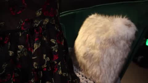 Lire online show from 02.20.25