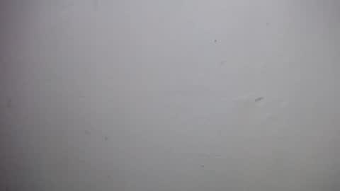 lisa_branch online show from 12.18.25