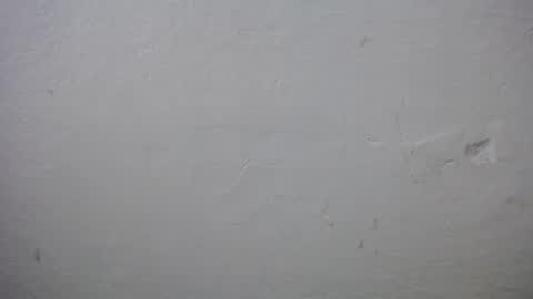 lisa_branch online show from 12.20.25