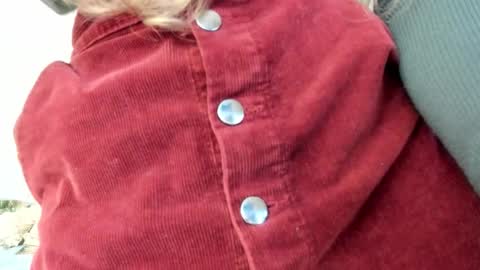 Lissa online show from 10.30.25