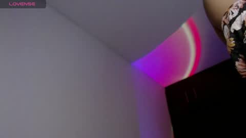 Snapshot of lissy_linda chatting on 07.06.26 Liseth online show from 07.06.26