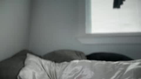 Litlaney online show from 01.11.26