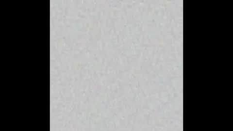 Adaline online show from 01.17.26