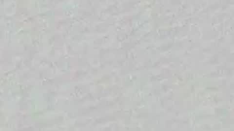 Adaline online show from 04.03.26