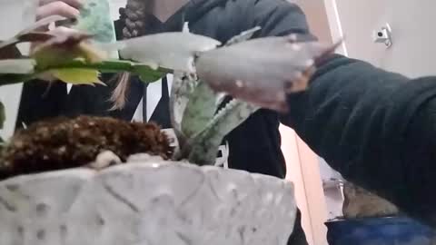 littleleo96 online show from 10.05.25