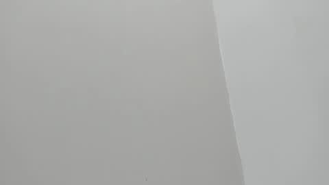 im olivia IG littleolivia01 online show from 01.29.25